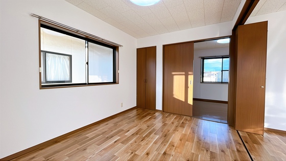 サンフラワー D