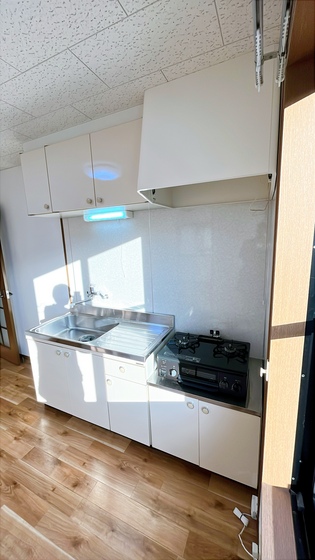 サンフラワー D