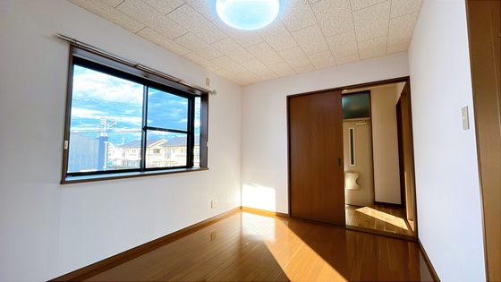 サンフラワー D