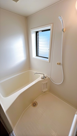 サンフラワー D