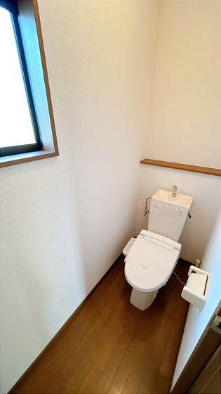 サンフラワー D