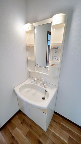 サンフラワー D