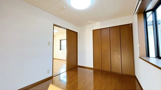 サンフラワー D