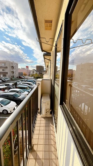 サンフラワー D