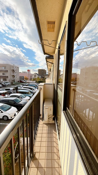 サンフラワー D