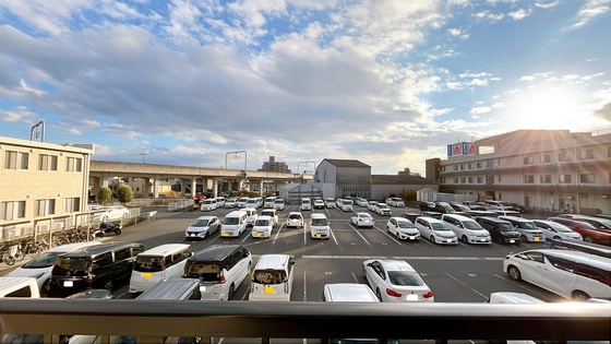 サンフラワー D