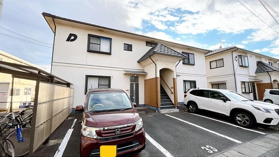 サンフラワー D