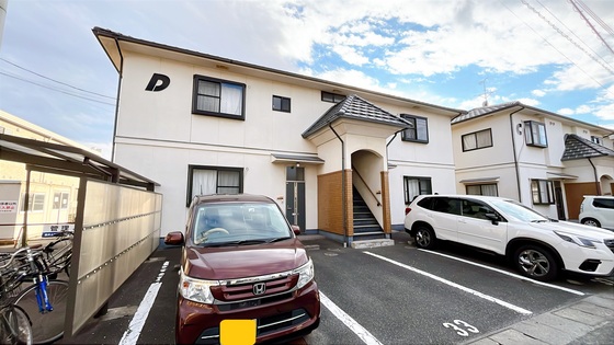 サンフラワー D