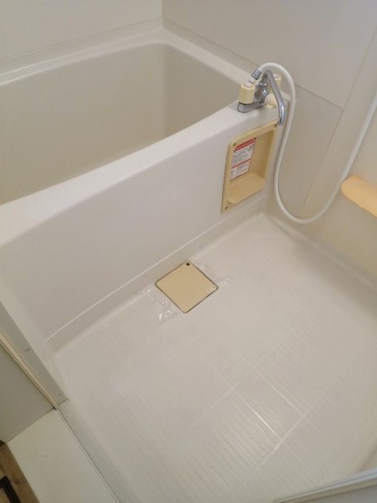 ダンディライオン西市 B