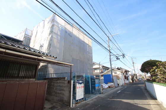 Regalest Coeur 青江(レガリスト クール アオエ)