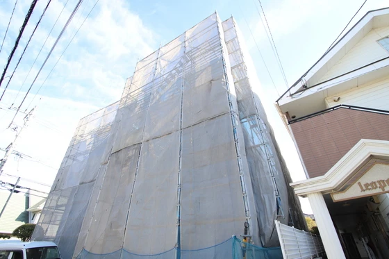 Regalest Coeur 青江(レガリスト クール アオエ)