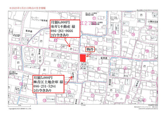 Regalest Coeur 青江(レガリスト クール アオエ)