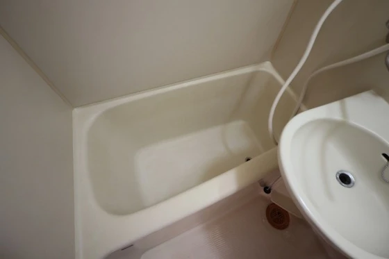 レピュートDORM峰高