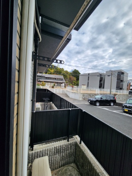 ディアスオオヤケ