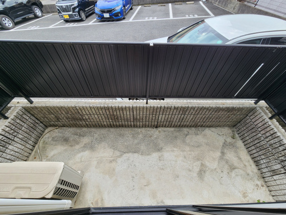 ディアスオオヤケ