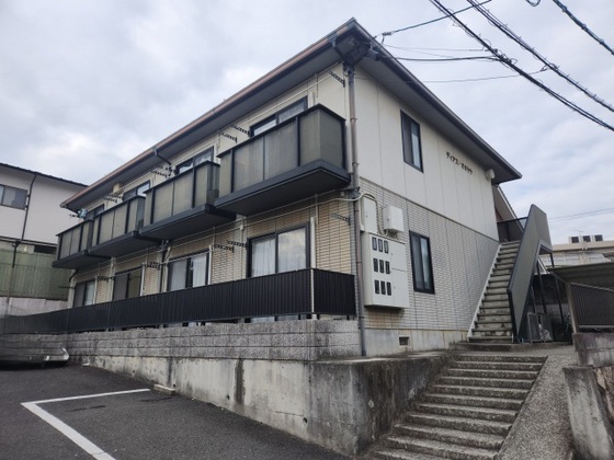 ディアスオオヤケ