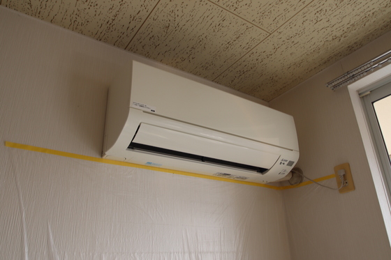 リトルベアー A