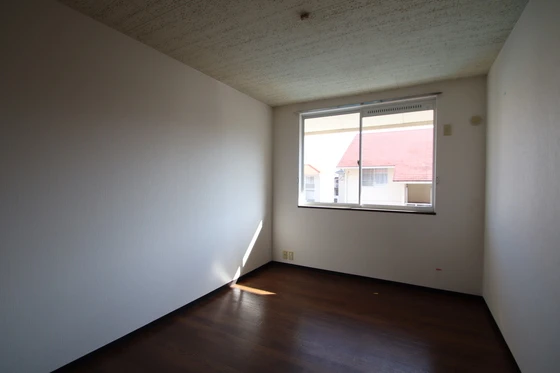 リトルベアー A