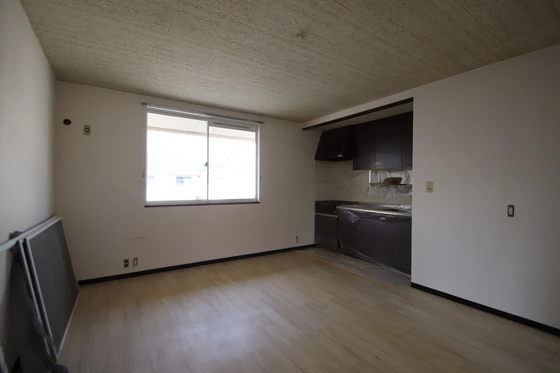 リトルベアー A