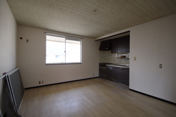 リトルベアー A