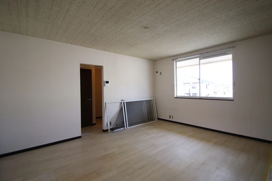 リトルベアー A