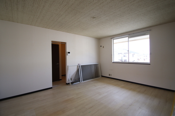 リトルベアー A