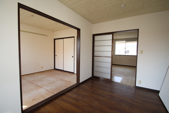 リトルベアー A