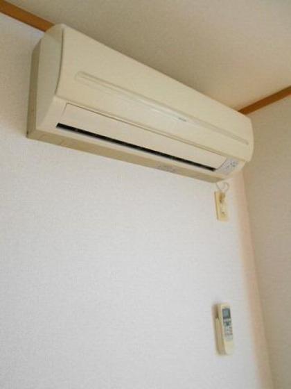 トライアン・ファント A