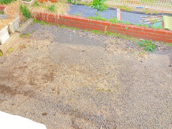 カーサフローレス