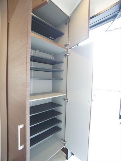 アリビオマキシム A