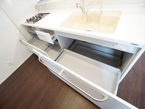 アリビオマキシム A