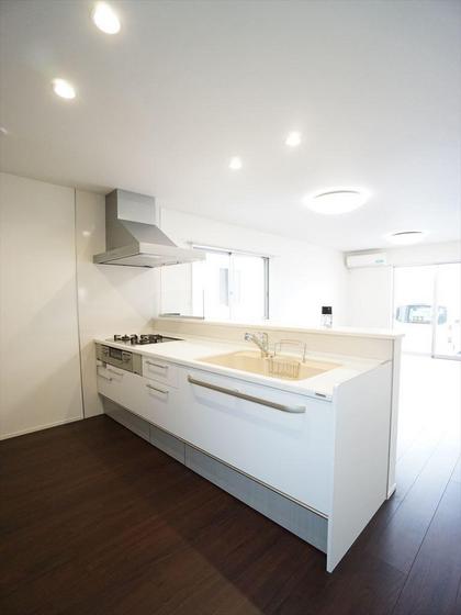 アリビオマキシム A