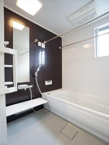 アリビオマキシム A