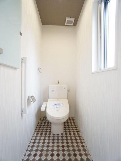 アリビオマキシム A