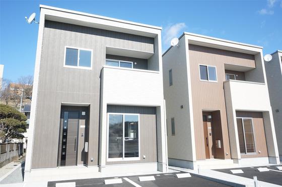 アリビオマキシム A