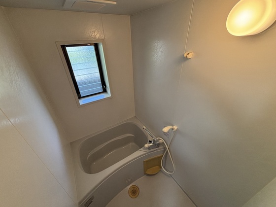 ピア サテライト