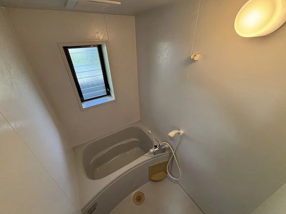 ピア サテライト