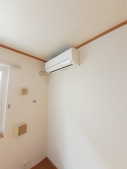 ビッグベアー B