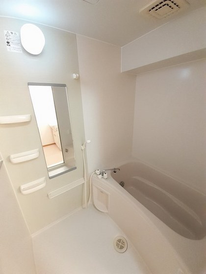 ビッグベアー B