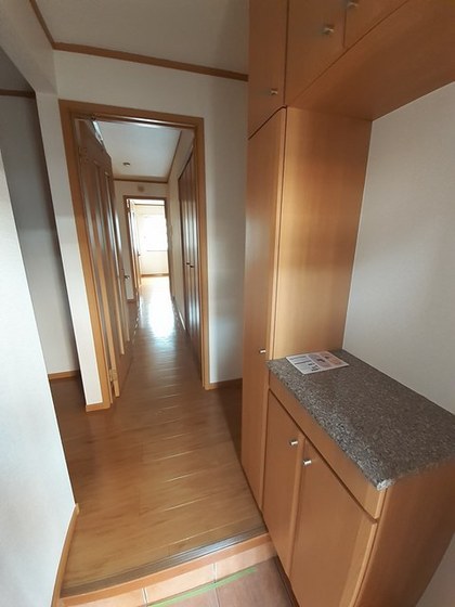 ビッグベアー B