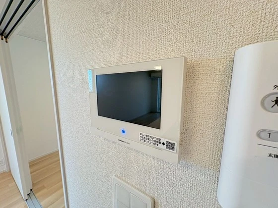 レディー  バード