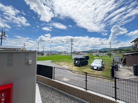 レディー  バード