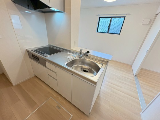 レディー  バード