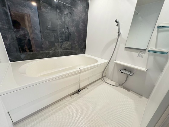 レディー  バード