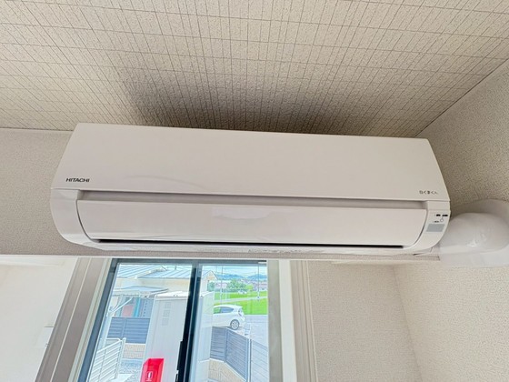 レディー  バード