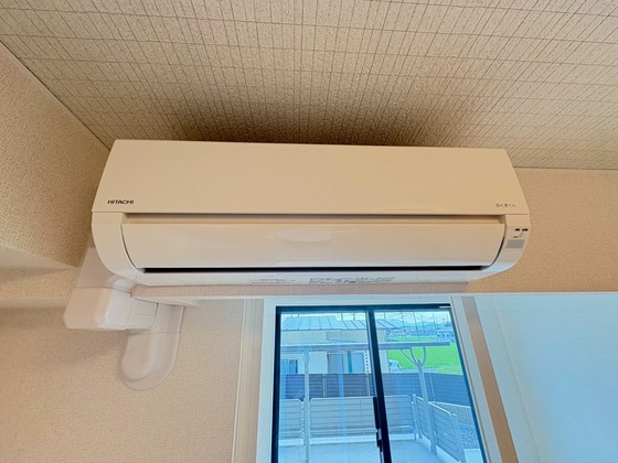 レディー  バード