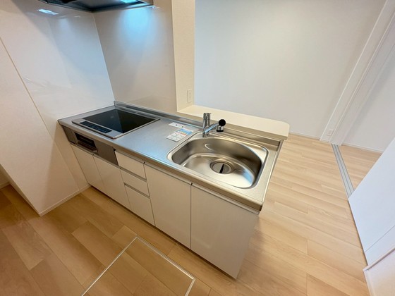 レディー  バード