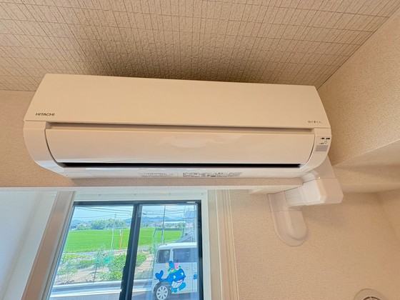 レディー  バード