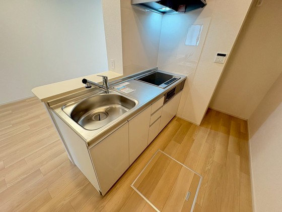 レディー  バード