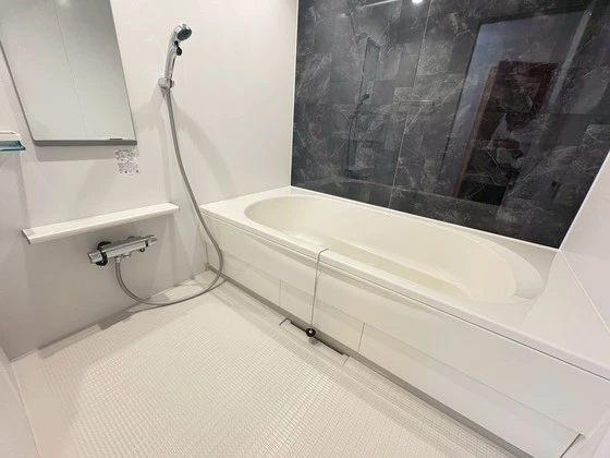 レディー  バード